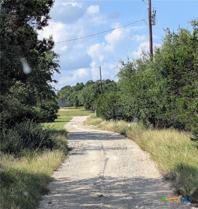 840 Forest View Dr, Blanco, TX 78606 - photo 5
