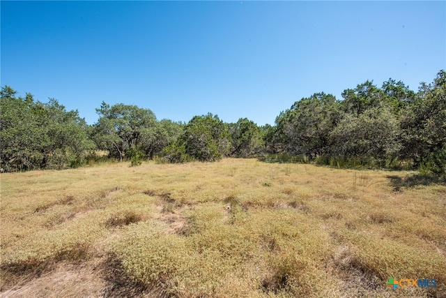 840 Forest View Dr, Blanco, TX 78606 - photo 13