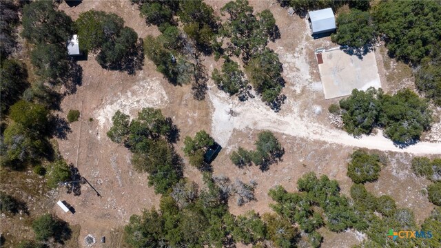 840 Forest View Dr, Blanco, TX 78606 - photo 19