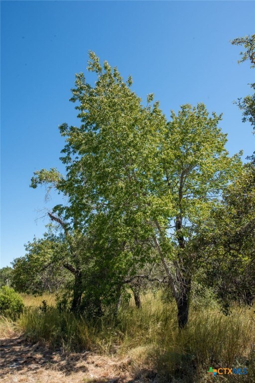 840 Forest View Dr, Blanco, TX 78606 - photo 14