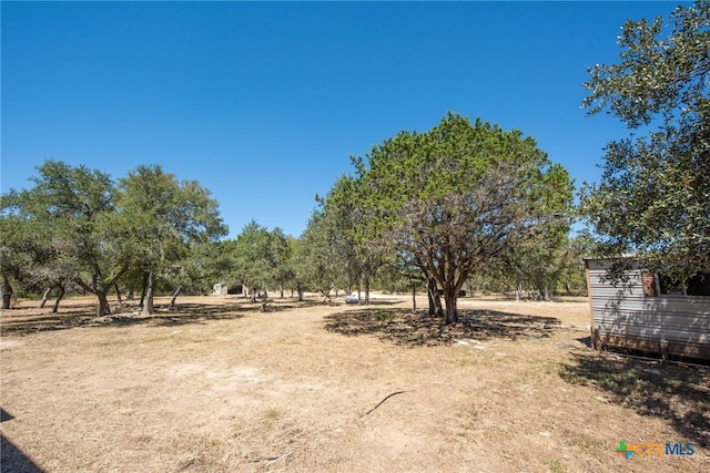 840 Forest View Dr, Blanco, TX 78606 - photo 12