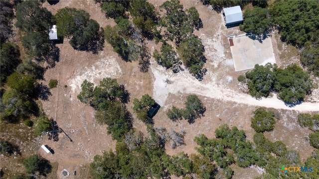 840 Forest View Dr, Blanco, TX 78606 - photo 20