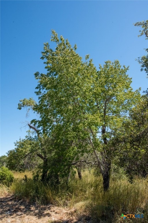 840 Forest View Dr, Blanco, TX 78606 - photo 15