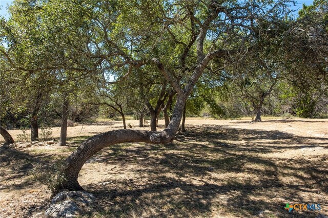 840 Forest View Dr, Blanco, TX 78606 - photo 8