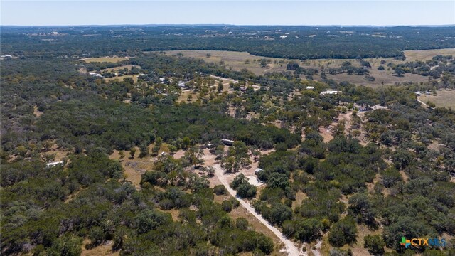 840 Forest View Dr, Blanco, TX 78606 - photo 3