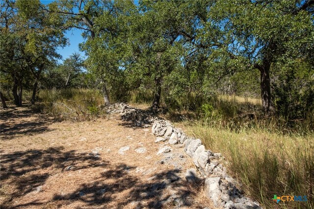 840 Forest View Dr, Blanco, TX 78606 - photo 16