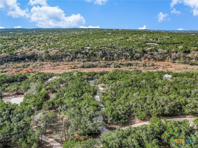 2120 Sandy Point Rd, Wimberley, TX 78676 - photo 8