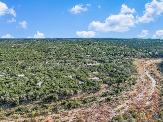 2120 Sandy Point Rd, Wimberley, TX 78676 - photo 9