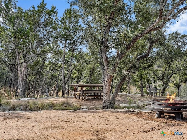 2120 Sandy Point Rd, Wimberley, TX 78676 - photo 7