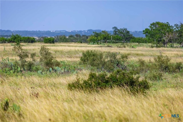 10AC Fm 243, Bertram, TX 78605 - photo 5