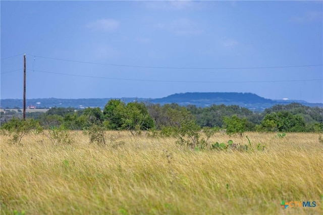 10AC Fm 243, Bertram, TX 78605 - photo 1