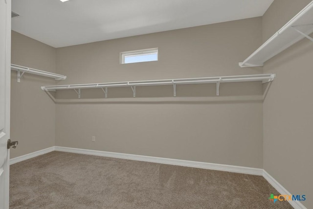 spacious closet featuring carpet floors