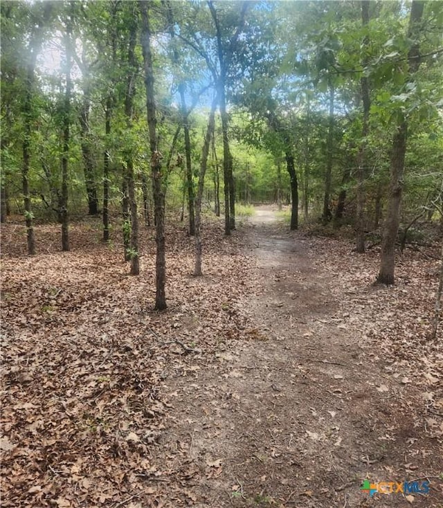 194 Elgin Woods Ln, Elgin, TX 78621 - photo 27