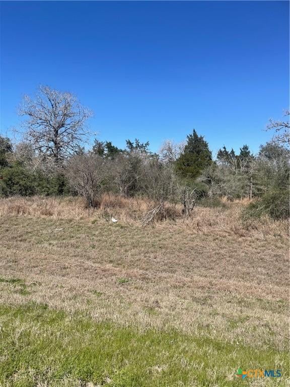 Listing photo 2 for 00 US Highway 87, Cuero TX 77954