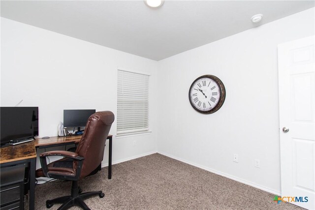 348 Jacquard Ct, Troy, TX 76579 - office space featuring carpet