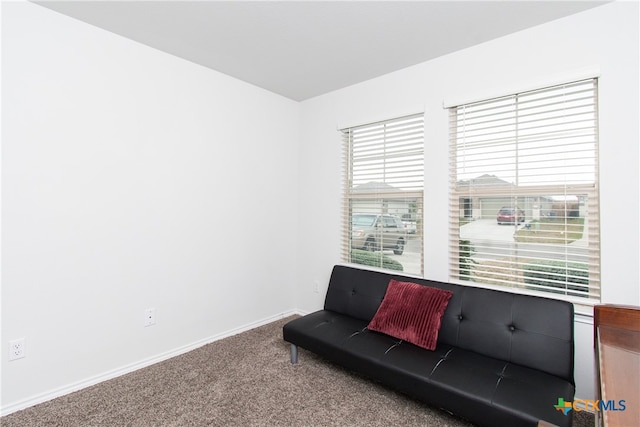 living area with carpet floors