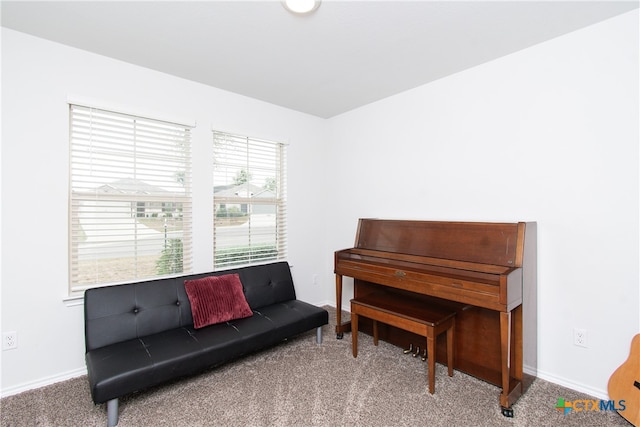 sitting room with carpet flooring