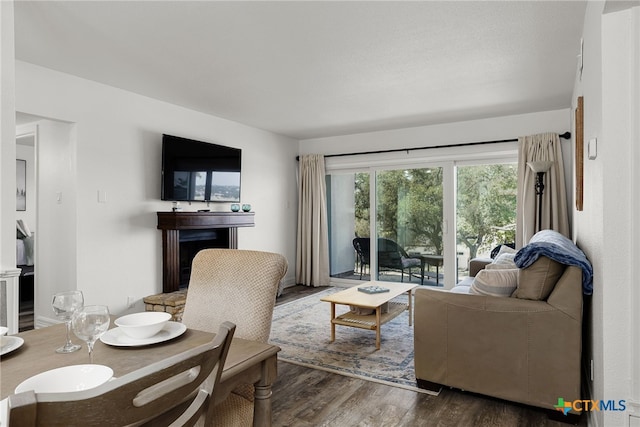 living room with dark wood-type flooring