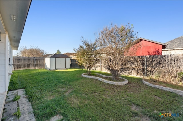 view of yard featuring a shed