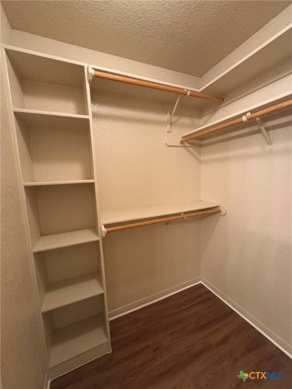 walk in closet featuring dark hardwood / wood-style floors