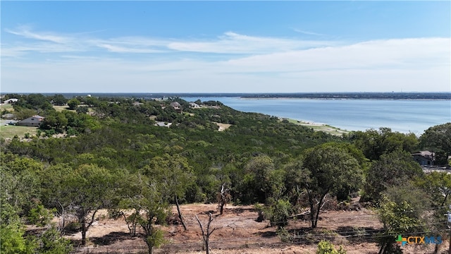 Lot Leila Lane, Belton TX, 76513 land for sale