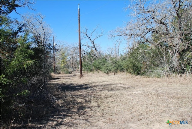 Listing photo 3 for 596 County Road 429, Waelder TX 78959