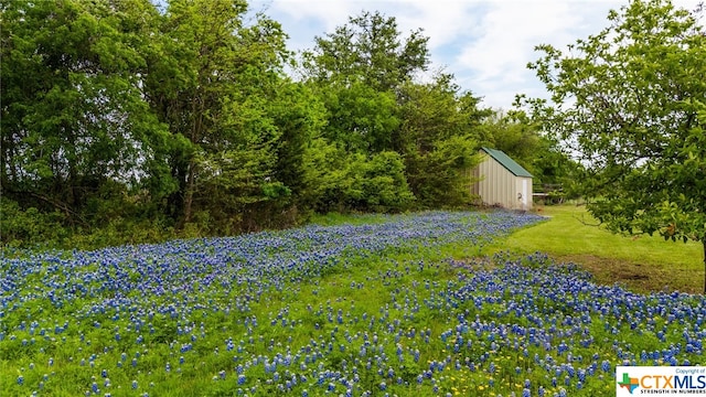 view of yard with a storage shed