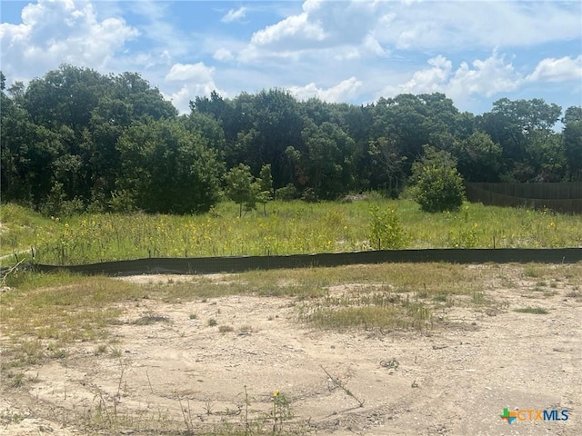 7063 Troyan Ln, Temple, TX 76502 - photo 3