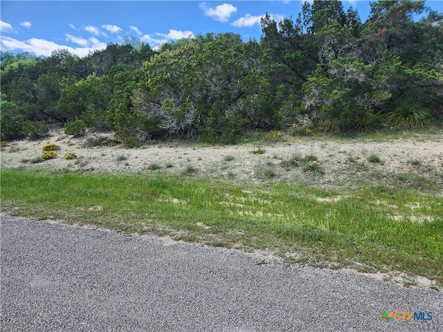 268 Scenic Hills Dr, Canyon Lake TX, 78133 land for sale