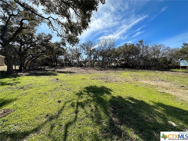 520/528 Twin Elm Dr, Canyon Lake TX, 78133 land for sale