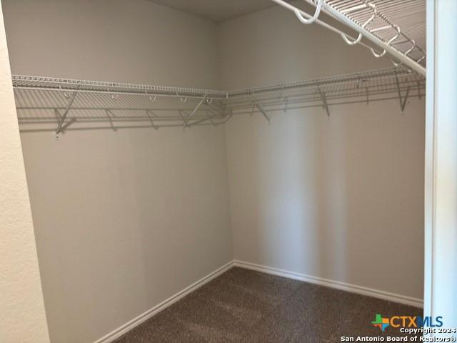 2537 Windle Ln, Seguin, TX 78155 - spacious closet with dark carpet