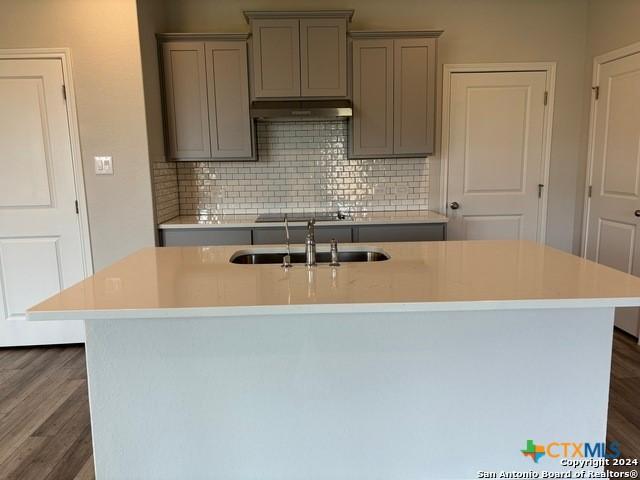 2537 Windle Ln, Seguin, TX 78155 - kitchen featuring gray cabinets, a sink, under cabinet range hood, backsplash, and dark wood-type flooring