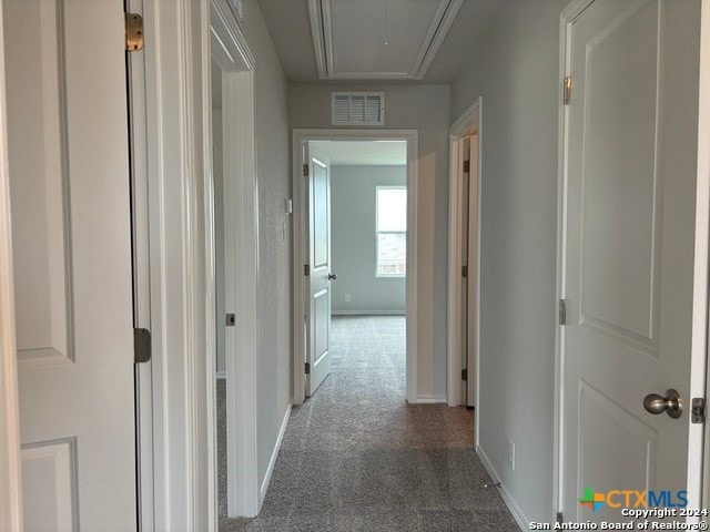 hallway with carpet flooring