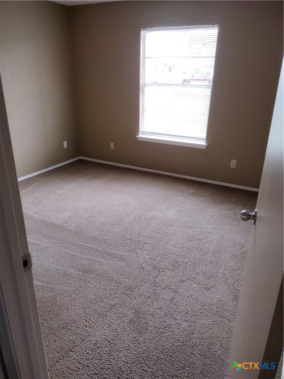 spare room with carpet flooring