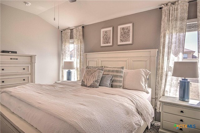 bedroom with lofted ceiling