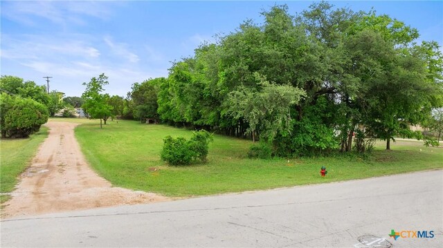 306 W Pecan Dr, Johnson City, TX 78636