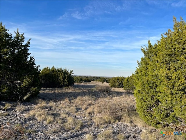 Listing photo 2 for LOT4 High View Dr, Lampasas TX 76550