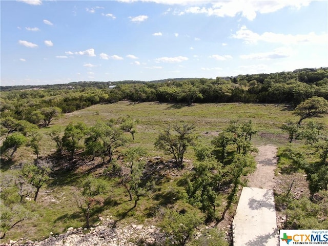 1125 Rebecca Way, Canyon Lake, TX 78133