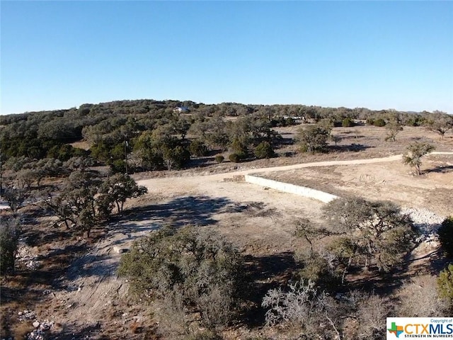 1125 Rebecca Way, Canyon Lake, TX 78133