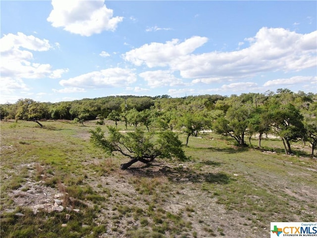 1125 Rebecca Way, Canyon Lake, TX 78133