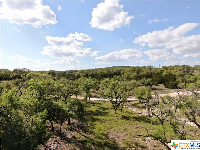 Listing photo 2 for 1125 Rebecca Way, Canyon Lake TX 78133