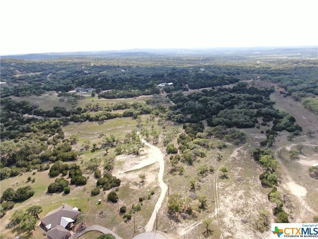 1125 Rebecca Way, Canyon Lake, TX 78133