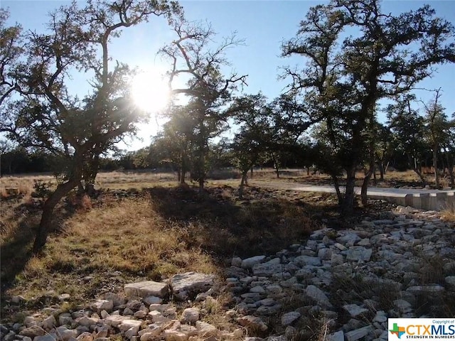 1125 Rebecca Way, Canyon Lake, TX 78133