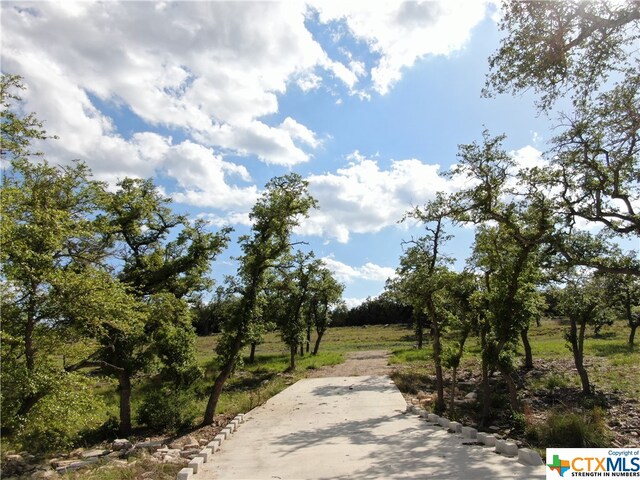 Listing photo 3 for 1125 Rebecca Way, Canyon Lake TX 78133