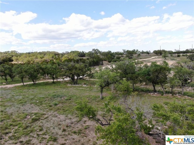 1125 Rebecca Way, Canyon Lake, TX 78133