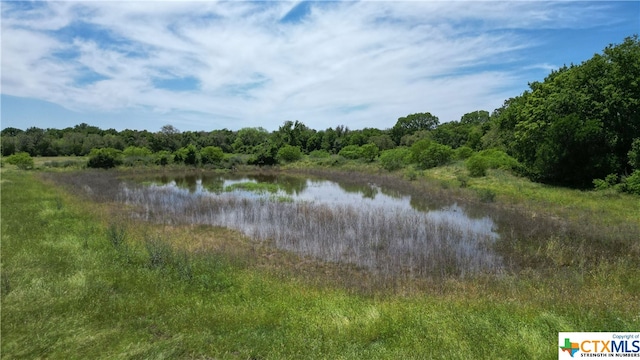 4207 County Road 444, Waelder TX, 78959 land for sale