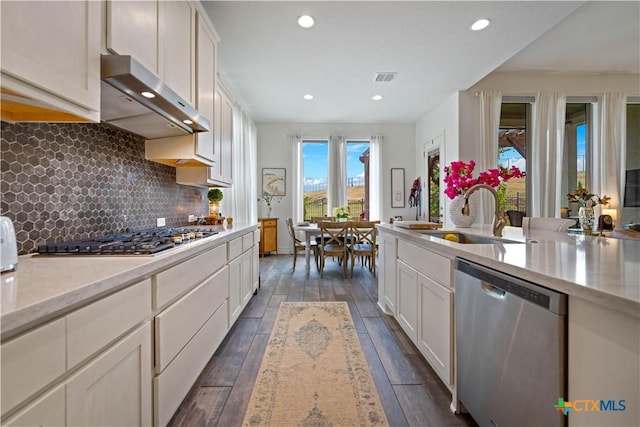 1235 Yaupon Loop, New Braunfels, TX 78132 - kitchen with appliances with stainless steel finishes, under cabinet range hood, dark wood-type flooring, white cabinets, and tasteful backsplash