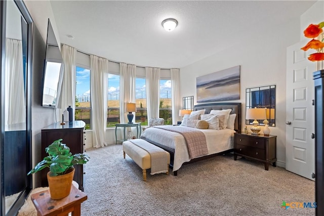 1235 Yaupon Loop, New Braunfels, TX 78132 - bedroom with light carpet