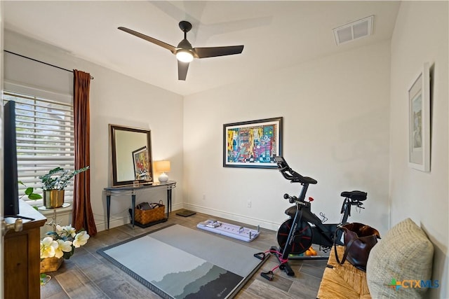 1235 Yaupon Loop, New Braunfels, TX 78132 - exercise room with a ceiling fan and wood finished floors