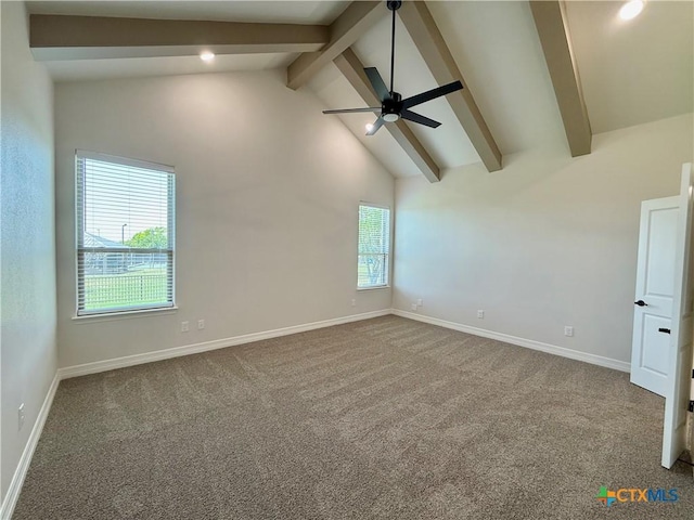 4306 Sunflower Ln, Temple, TX 76502 - photo 18